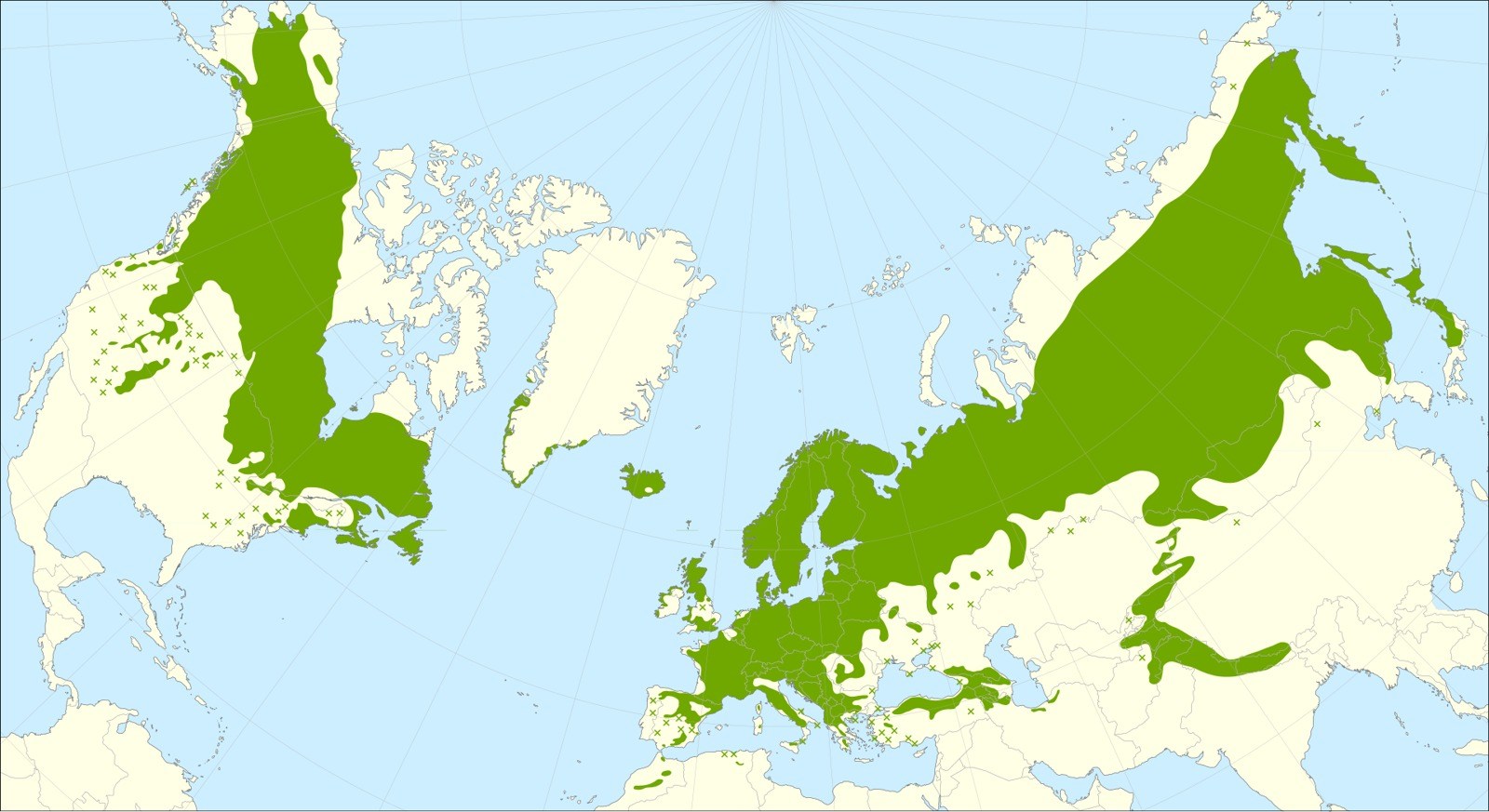 Enens utbredning på norra halvklotet.