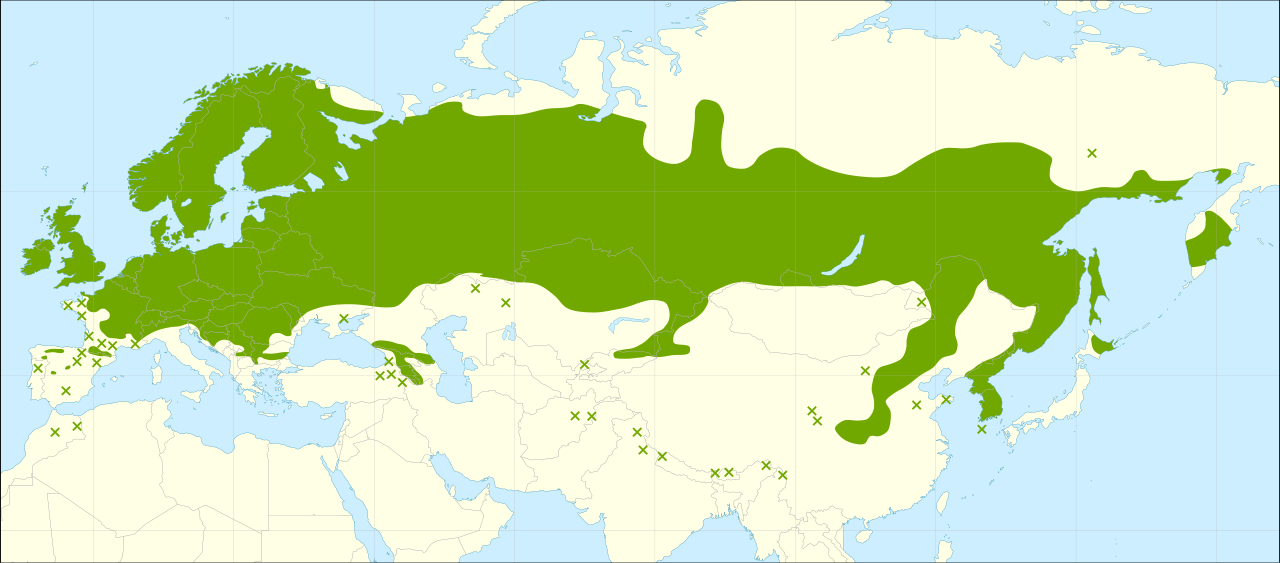 Karta över häggens naturliga utbredningsområde.
