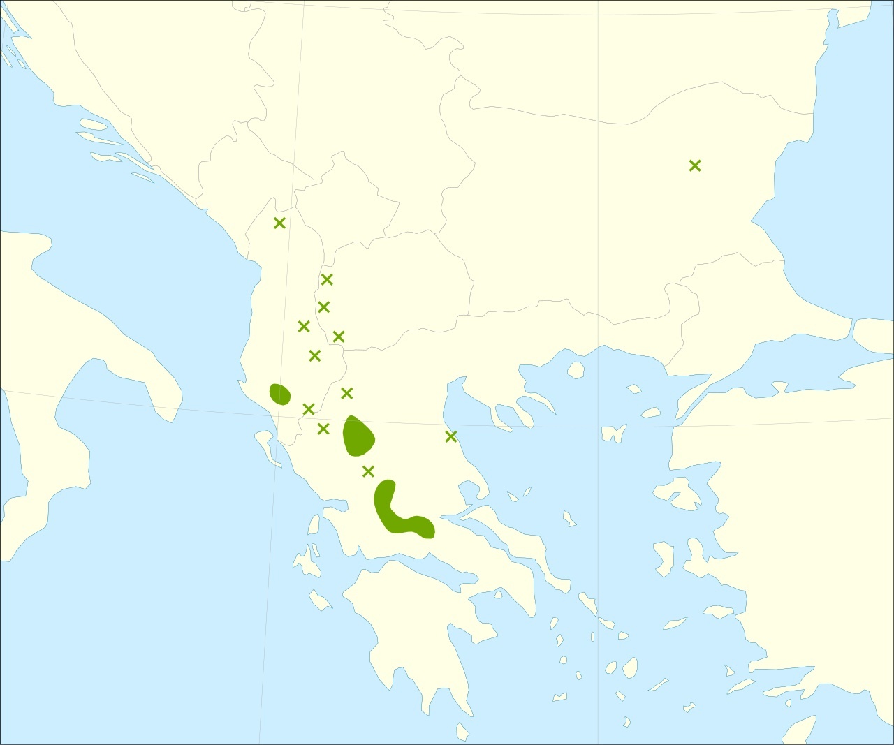 Hästkastanjens (Aesculus hippocastanum) naturliga utbredning på Balkan. De många planterade träden i övriga Europa ingår inte.