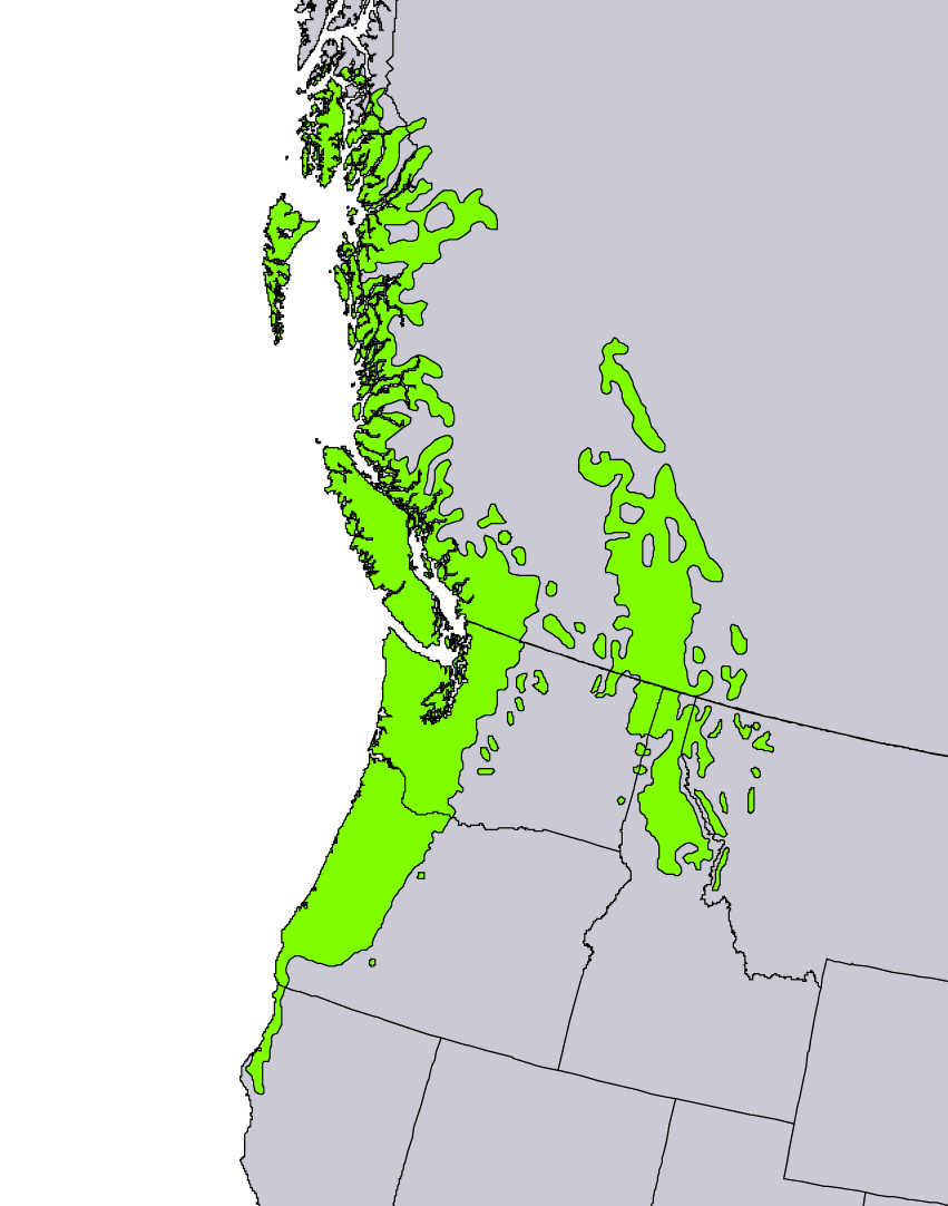 Karta över jättetujans naturliga utbredning i västra Nordamerika.