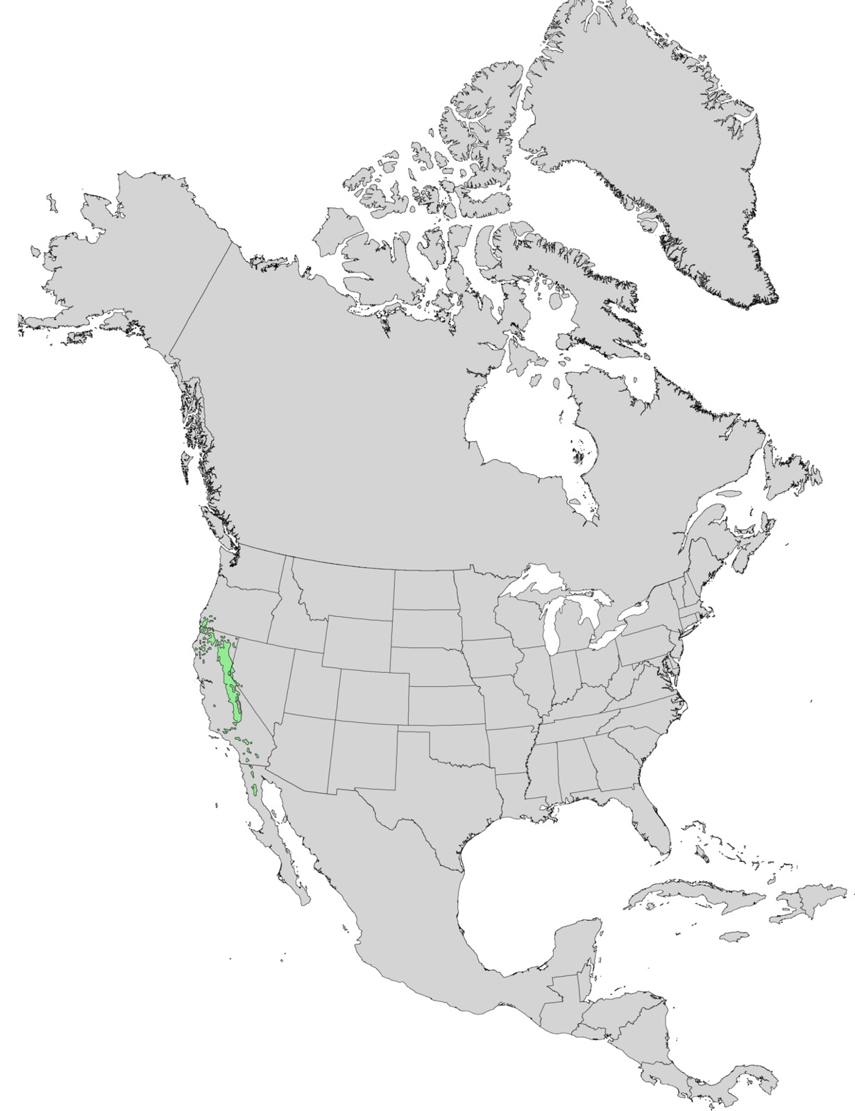 Jeffreytallens (Pinus jeffreyi) naturliga område markeras med grönt i västra Nordamerika. Underlag från USGS och E. L. Littles trädatlas.