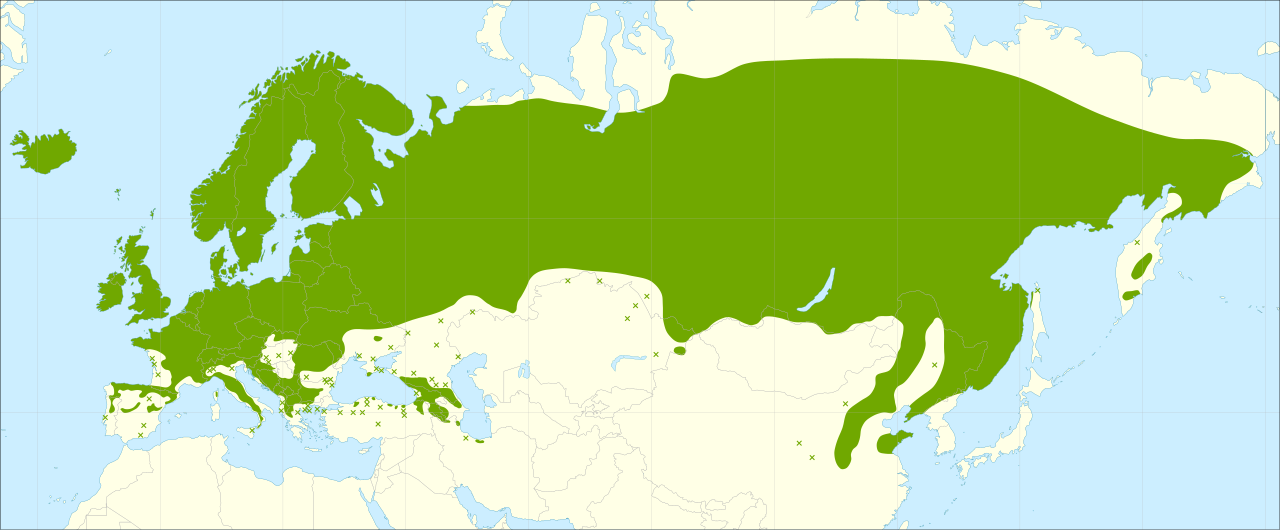 Karta över rönnens naturliga utbredningsområde.