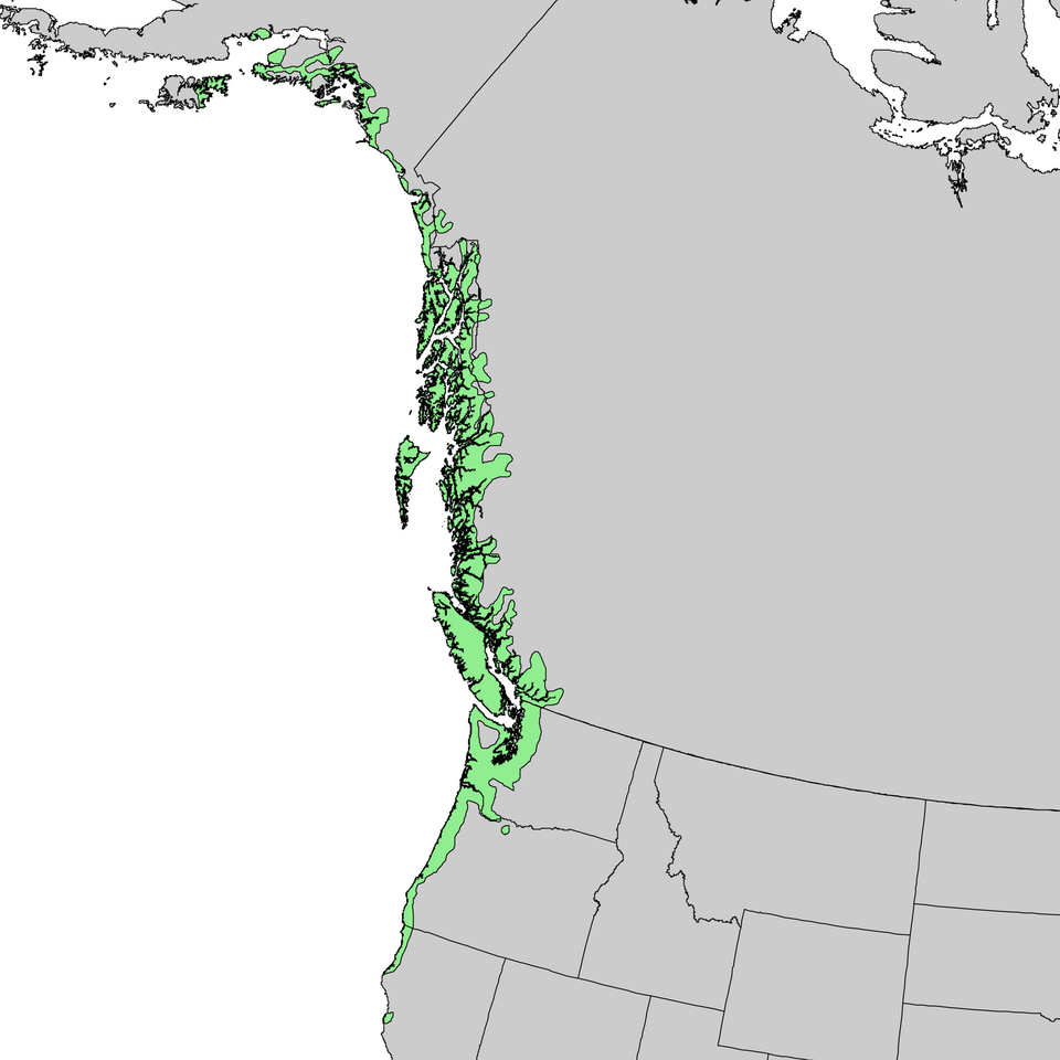 Karta över sitkagranens smala naturliga område från Alaska till norra Kalifornien.